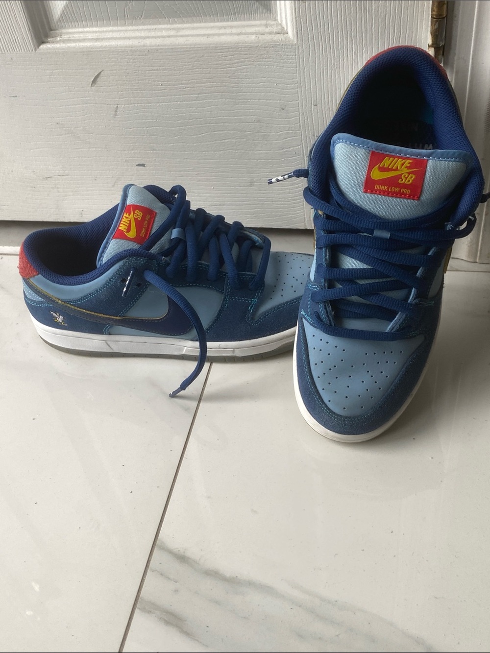 Nike SB Blue Multi Skate Shoes
